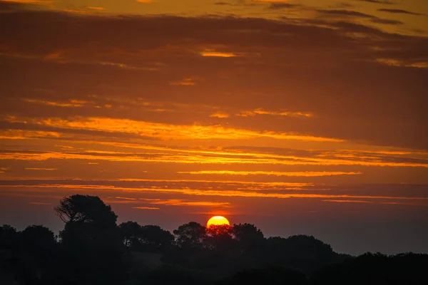 Soluppgång Naturpark Nära Guardamar Del Segupa Alicanteprovinsen Spanien — Stockfoto