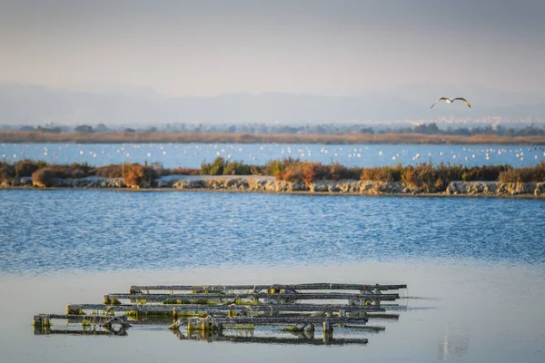 Lago Cerca Del Pueblo Santa Pola Provincia Alicante España — Foto de Stock