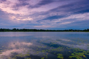 Pskov bölgesinde ayrılmış bir gölde çok güzel bir akşam. Rusya