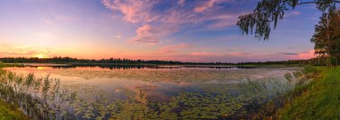 Pskov bölgesinde rezerve edilmiş bir göl üzerinde inanılmaz bir akşam manzarası. Rusya