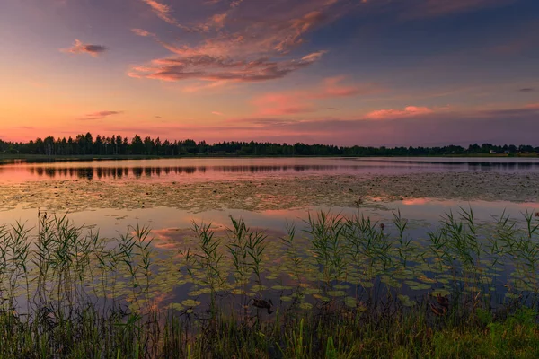 Uma Noite Muito Bonita Lago Reservado Região Pskov Rússia — Fotografia de Stock