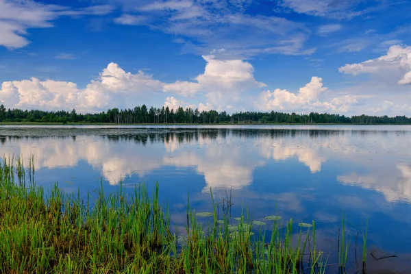 프스코프 지역에 호수가 멋지군 러시아 — 스톡 사진