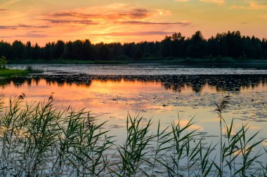 Orman gölü kıyısında güzel bir akşam manzarası
