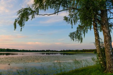 Orman gölü kıyısında güzel bir akşam manzarası
