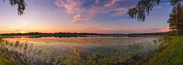 Panorama Deslumbrante Noite Margem Lago Florestal — Fotografia de Stock