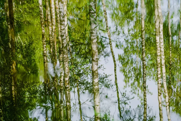 Reflection Small Forest Lake — Stock Photo, Image