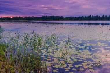Saklı bir gölde çok güzel bir akşam.