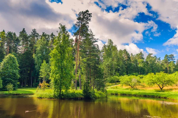 아름다운 공원의 놀라운 — 스톡 사진