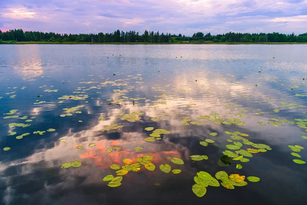 Uma Noite Muito Bonita Lago Reservado — Fotografia de Stock