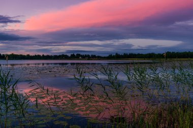 Gün batımında muhteşem bir manzara ve çarpıcı bir orman gölü.