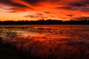 Gün batımında muhteşem bir manzara ve çarpıcı bir orman gölü.