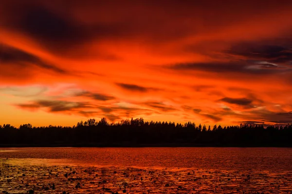 Gün batımında muhteşem bir orman gölü manzarası.