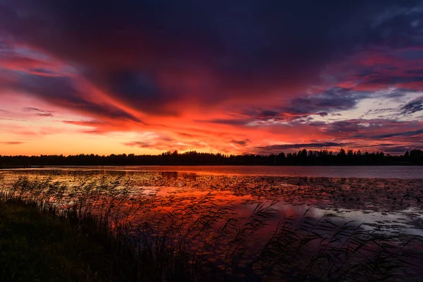 Gün batımında muhteşem bir orman gölü manzarası.