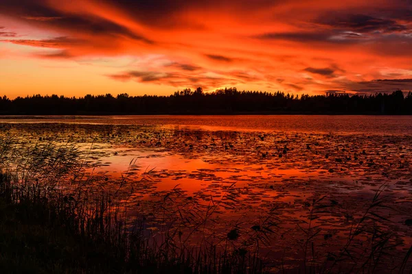 Gün batımında muhteşem bir manzara ve çarpıcı bir orman gölü.