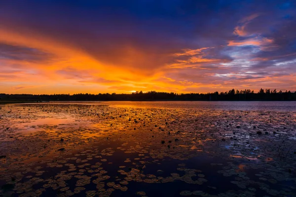 Fantástica Paisagem Pôr Sol Com Deslumbrante Lago Florestal — Fotografia de Stock