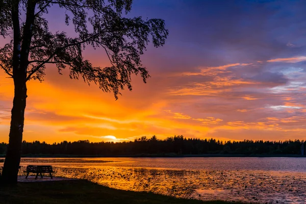 Paysage Fantastique Coucher Soleil Avec Magnifique Lac Forestier — Photo