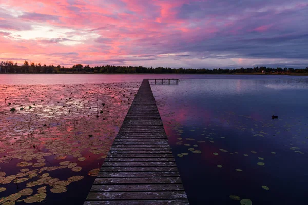 Unglaubliche Sonnenuntergangslandschaft Mit Holzsteg Einem Atemberaubenden Waldsee Stockbild