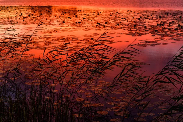 Traumhafte Landschaft Bei Sonnenuntergang Mit Einem Atemberaubenden Waldsee lizenzfreie Stockfotos