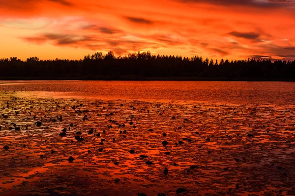 아름다운 호수가 석양의 환상적 로열티 프리 스톡 이미지