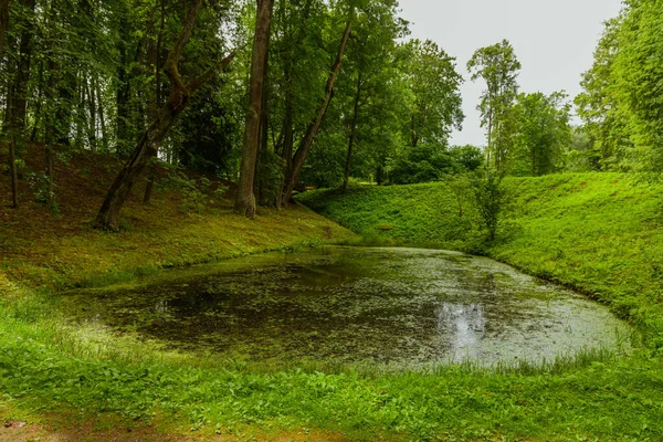 Дивовижний Краєвид Прекрасному Парку — стокове фото