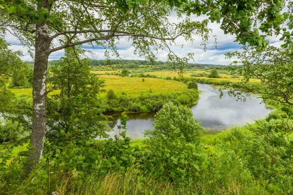 Fantastiskt Landskap Vacker Park Stockbild