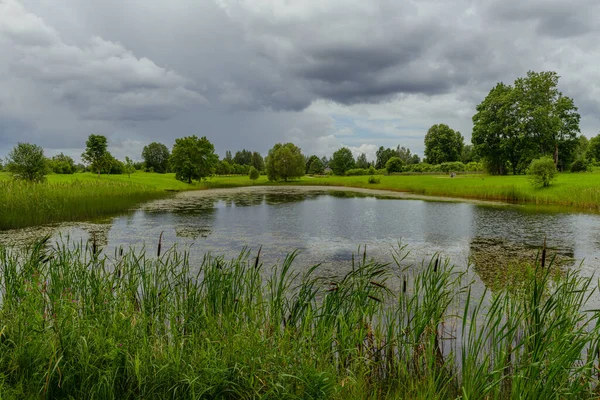 Erstaunliche Landschaft Einem Wunderschönen Park lizenzfreie Stockbilder