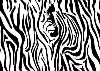 Sorunsuz zebra desen deri. Beyaz zemin üzerine siyah çizgili duvar kağıdı. Zebra avcılık kamuflaj çizgili. Vektör çizim.