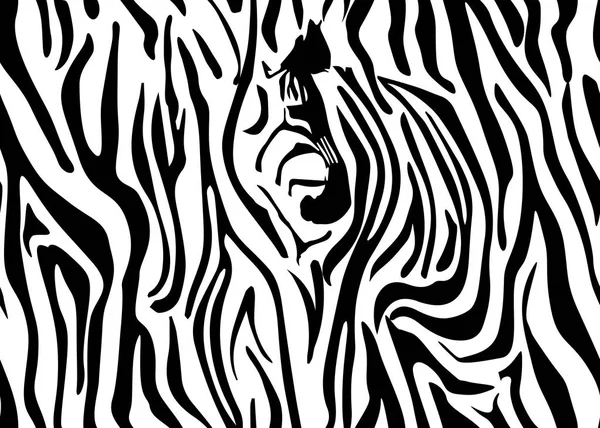 Patrón de piel de cebra sin costuras. Fondo de pantalla con rayas negras sobre fondo blanco. Rayas de cebra cazando camuflaje. Ilustración vectorial . — Archivo Imágenes Vectoriales