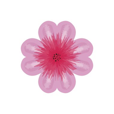 Pembe Dahlia çiçek beyaz arka planda Izole, kartpostal eps10 vektör grafik ve illüstrasyon olarak tasarlanmış