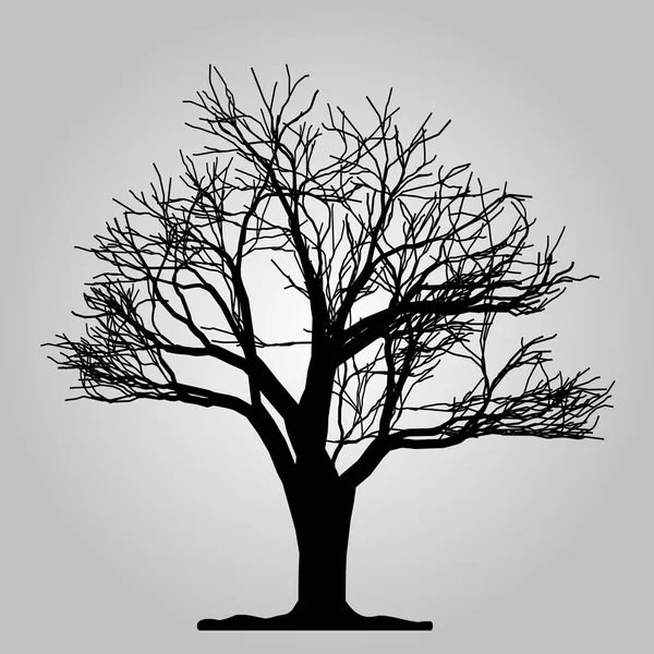 Ikona stromu. Symbol lesa. Prázdné webové znaménko na bílém pozadí. Vektorové EPS 10 — Stockový vektor