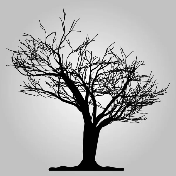 Icono del árbol. Símbolo forestal. Signo de web plana sobre fondo blanco. Vector eps10 — Archivo Imágenes Vectoriales