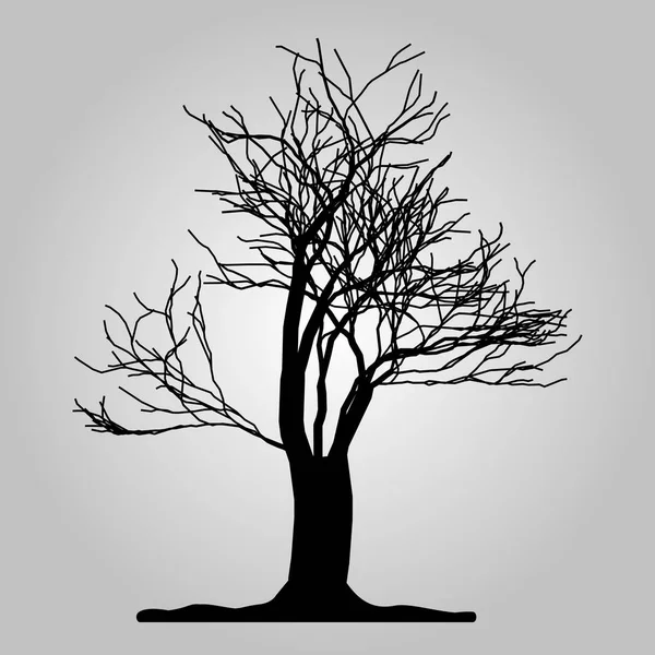 Icono del árbol. Símbolo forestal. Signo de web plana sobre fondo blanco. Vector eps10 — Archivo Imágenes Vectoriales