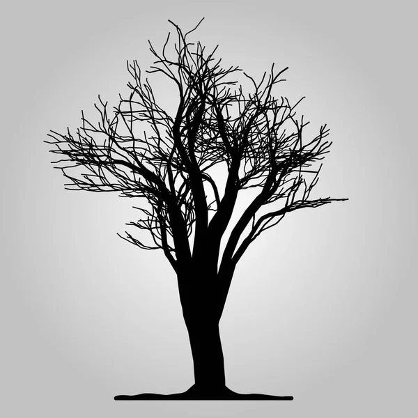 Icono del árbol. Símbolo forestal. Signo de web plana sobre fondo blanco. Vector eps 10 — Vector de stock