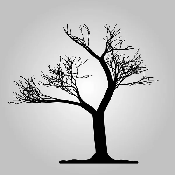 Träd ikonen. Skogs symbol. Platt webb skylt på vit bakgrund. Vektor eps10 — Stock vektor