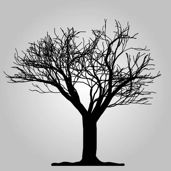 Ikona stromu. Symbol lesa. Prázdné webové znaménko na bílém pozadí. Vektorové EPS 10 — Stockový vektor