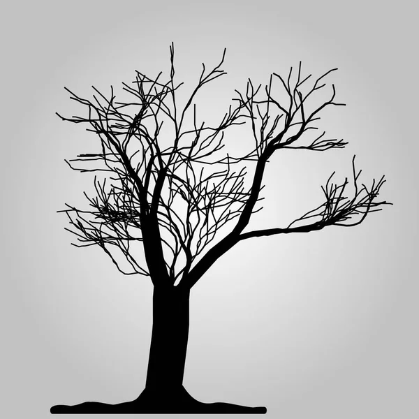 Icono del árbol. Símbolo forestal. Signo de web plana sobre fondo blanco. Vector eps10 — Archivo Imágenes Vectoriales