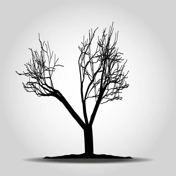 Icono del árbol. Símbolo forestal. Signo de web plana sobre fondo blanco. Vector eps10 — Archivo Imágenes Vectoriales