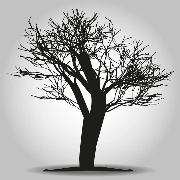 Εικονίδιο δέντρου. Το σύμβολο του δάσους. Επίπεδη είσοδος ιστού σε λευκό φόντο. Διάνυσμα μετ ' EPS 10 — Διανυσματικό Αρχείο