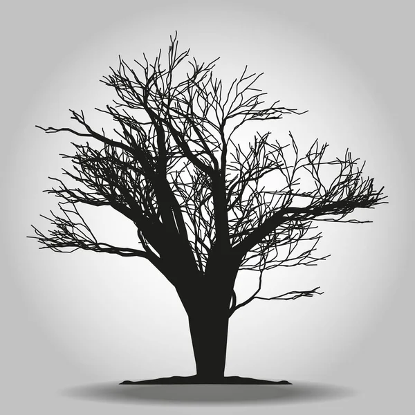 Icono del árbol. Símbolo forestal. Signo de web plana sobre fondo blanco. Vector eps 10 — Archivo Imágenes Vectoriales