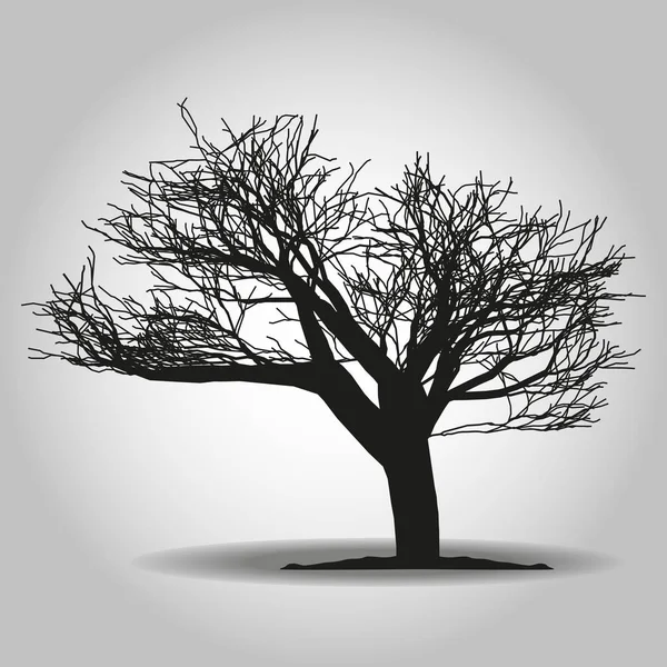 Baumsymbol. Waldsymbol. flaches Webschild auf weißem Hintergrund. Vektor Folge 10 — Stockvektor