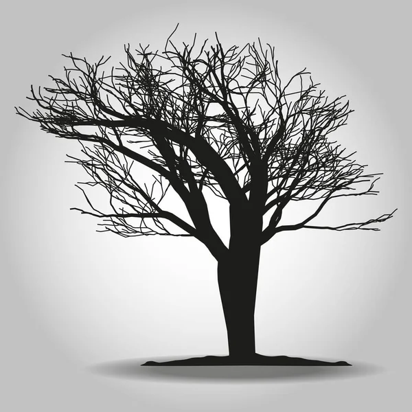 Icono del árbol. Símbolo forestal. Signo de web plana sobre fondo blanco. Vector eps 10 — Archivo Imágenes Vectoriales