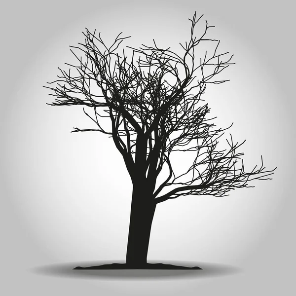 Icono del árbol. Símbolo forestal. Signo de web plana sobre fondo blanco. Vector eps 10 — Archivo Imágenes Vectoriales