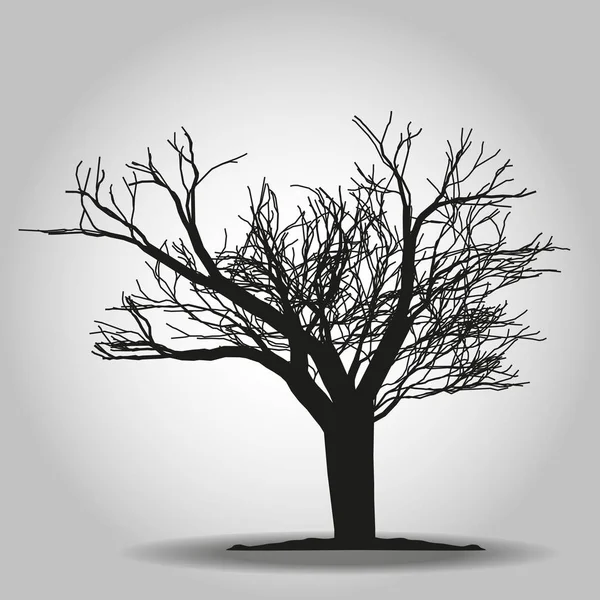 Εικονίδιο δέντρου. Το σύμβολο του δάσους. Επίπεδη είσοδος ιστού σε λευκό φόντο. Διάνυσμα μετ ' EPS 10 — Διανυσματικό Αρχείο