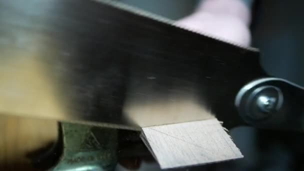 ジョイナー日本ウェンジを鋸のこぎりでひける — ストック動画