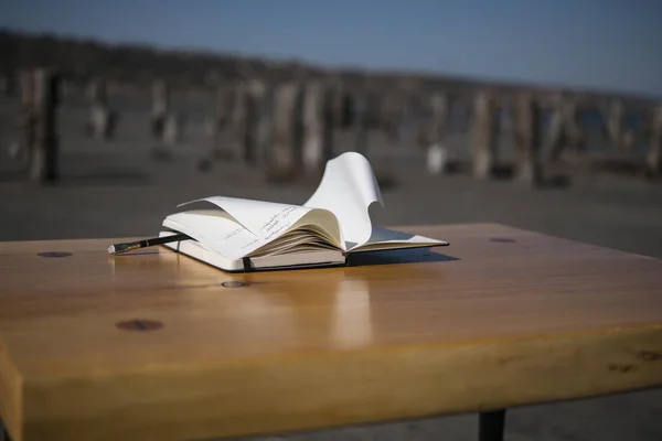 Doğada masada notebook