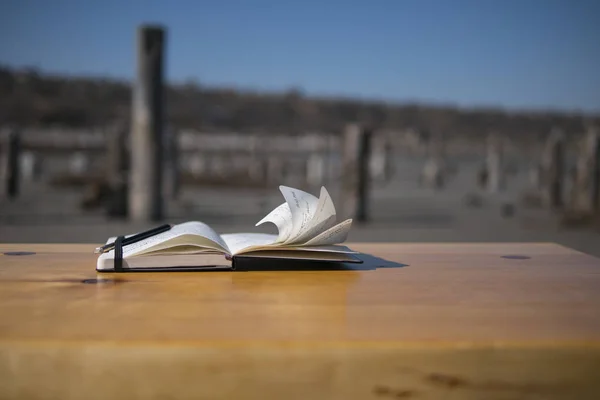 Doğada masada notebook