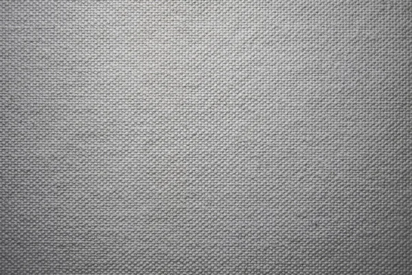 white canvas texture. background fabric