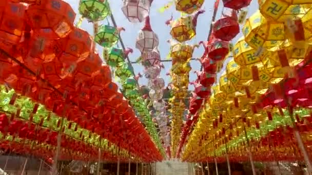 Festival Linterna Loto Templo Samgwangsa Busan Corea Del Sur Asia — Vídeo de stock
