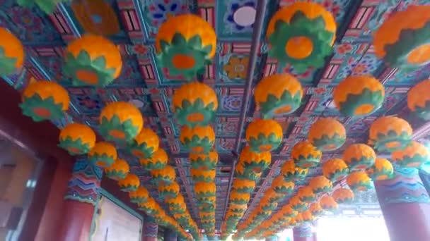Festival Linterna Loto Templo Samgwangsa Busan Corea Del Sur Asia — Vídeos de Stock