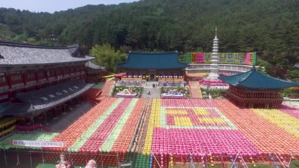 Samgwangsa アジアでロータス ランタン フェスティバル ロータス ランタン フェスティバル Samgwangsa Busan 南朝鮮 — ストック動画